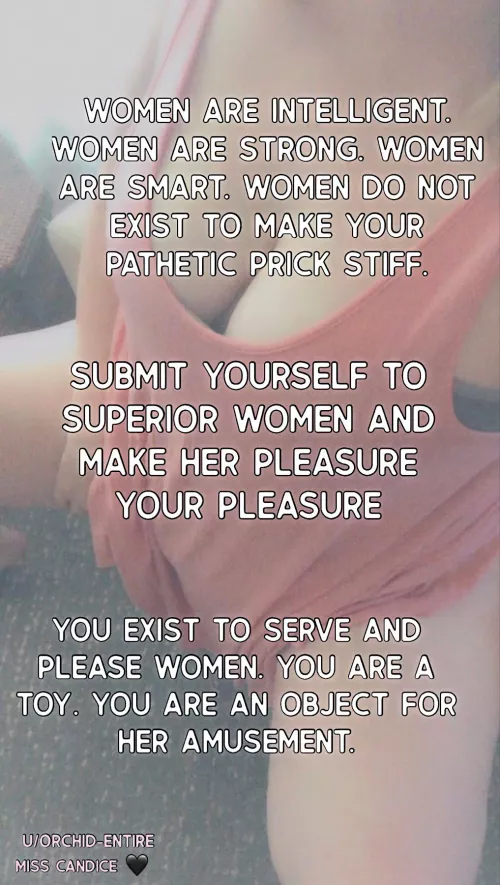 Submit to Superior Women and give your life purpose, dog.