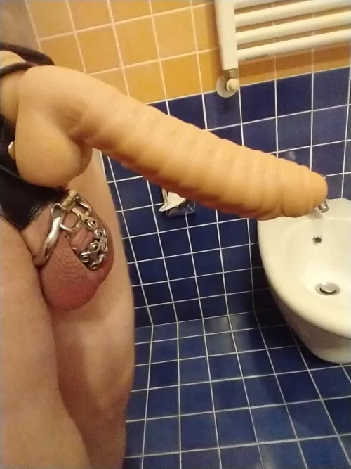 this weekend my wife and I are celebrating 9 months in chastity. she has 25 orgasms tonight with her favorite strap-on, while I stayed in my spiked cage and had nothing. perfect.