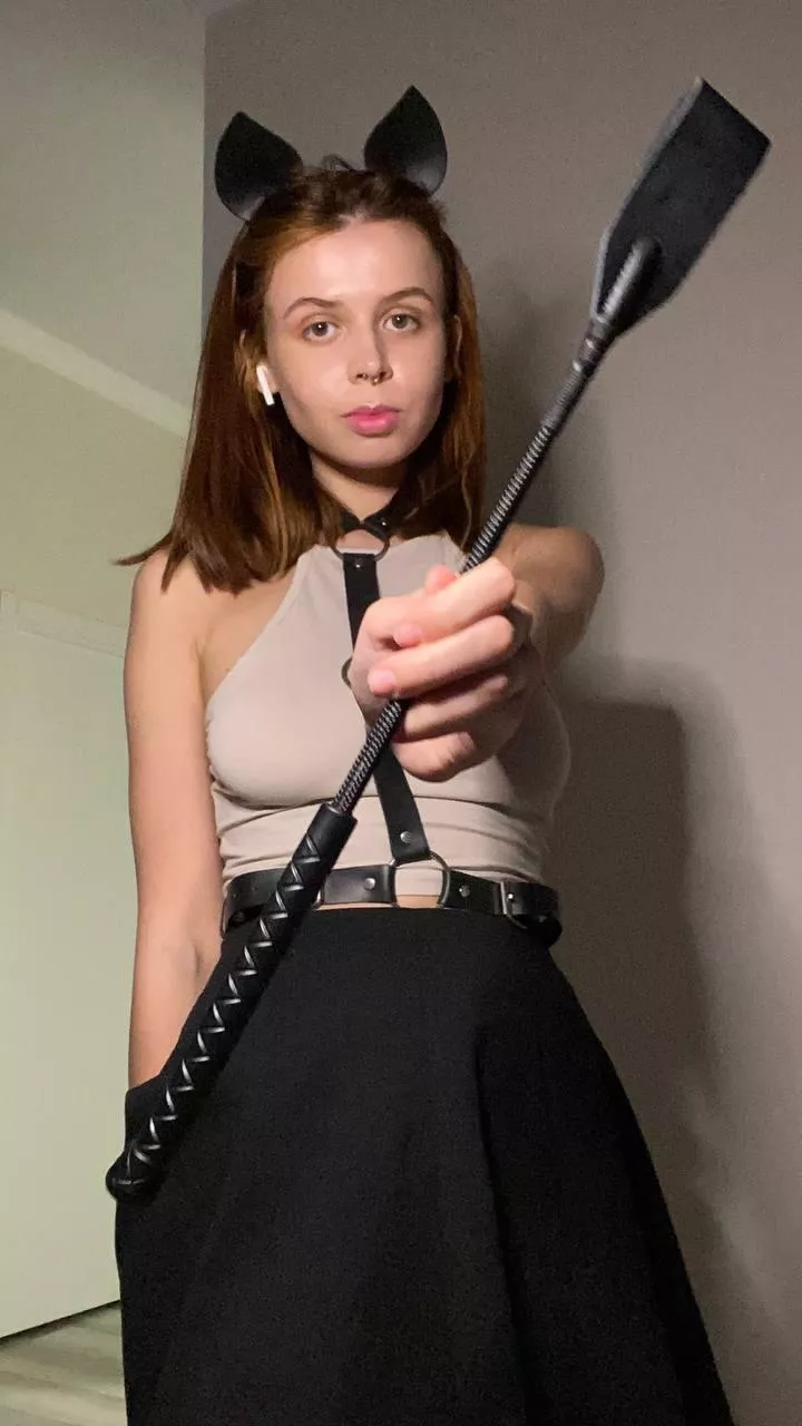 What will you do with this cat?