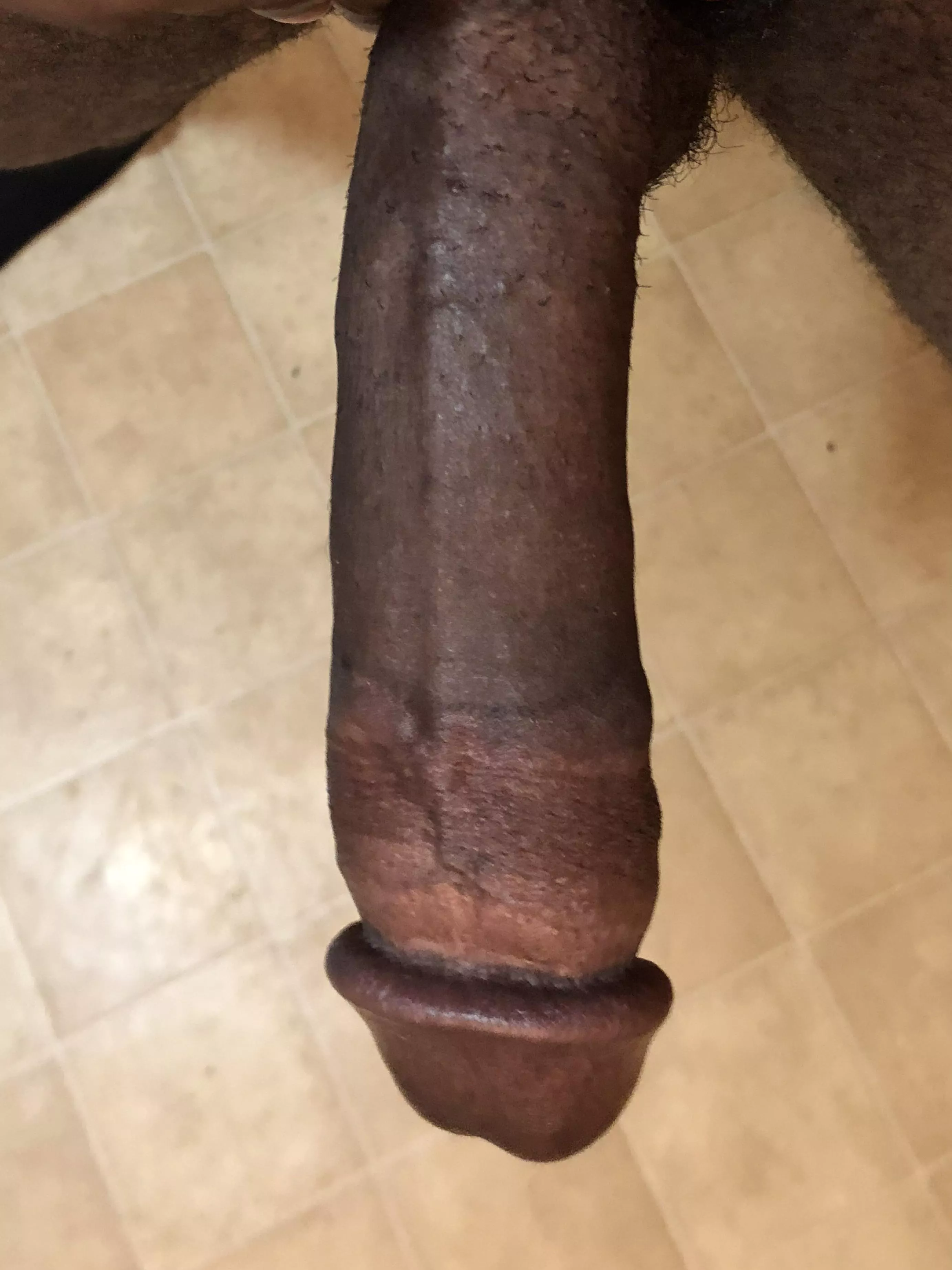 Where have you been all day??