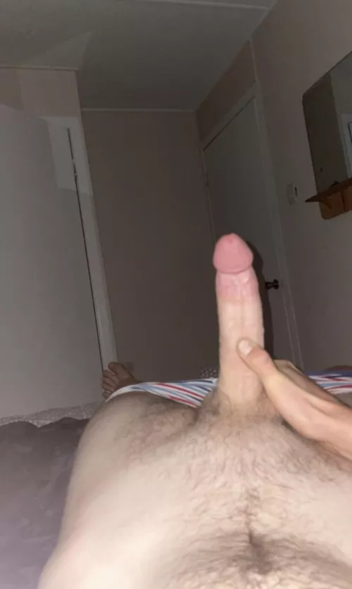 20 hung Aussie. Someone help me with my morning wood @k_trent420