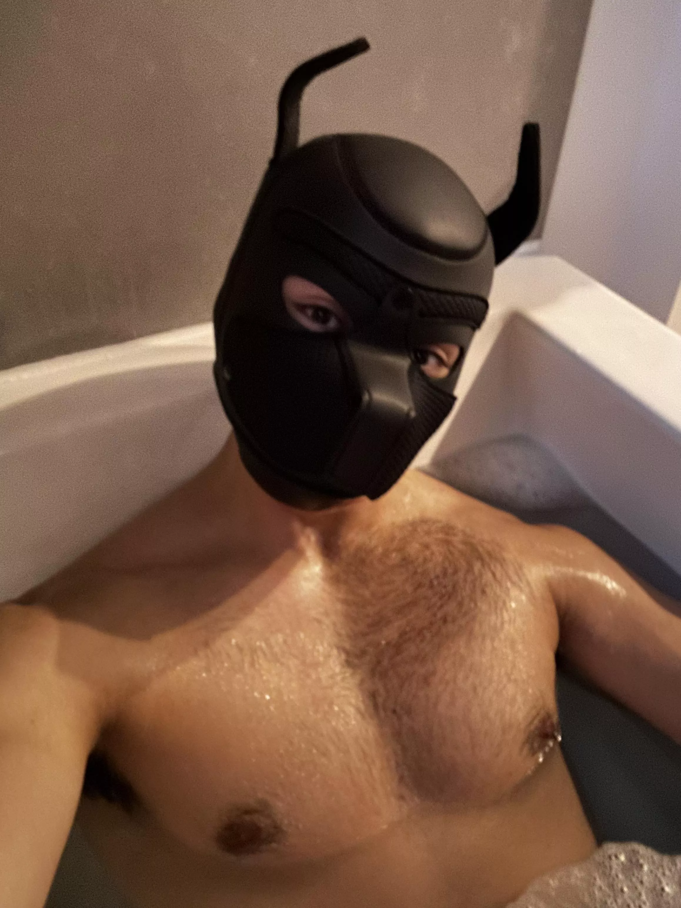 21 horny pup, come play with me! Twitter @maxthedogboy
