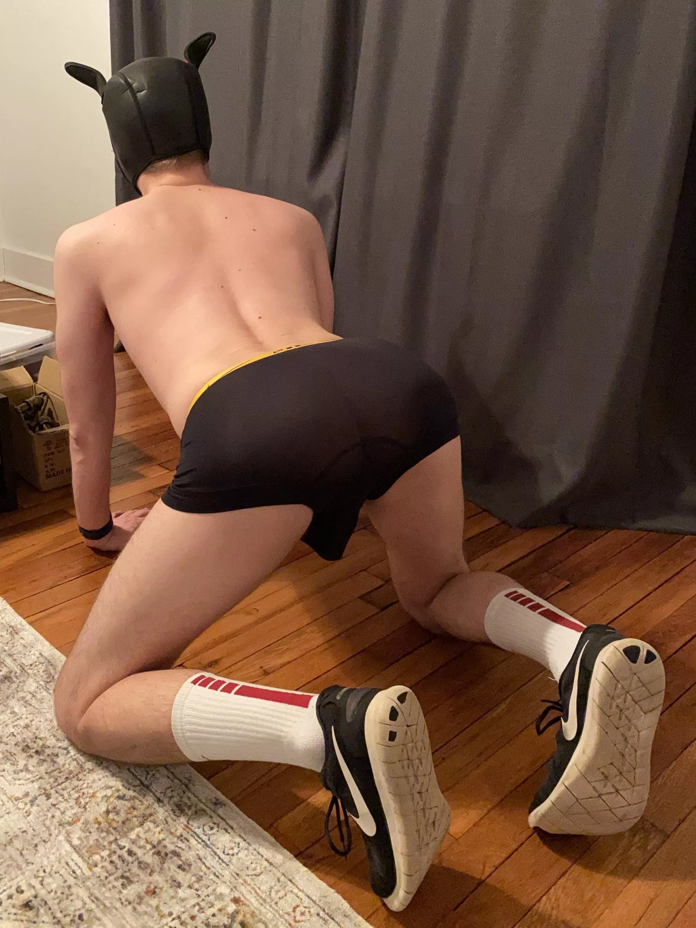 About to get some puppy exercise