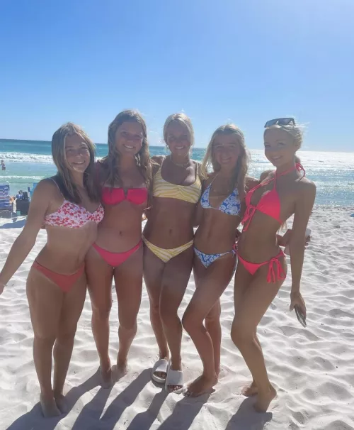 Bikini lineup