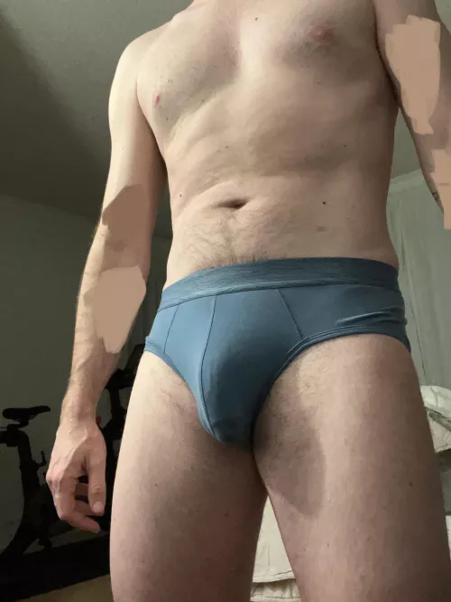 Briefs