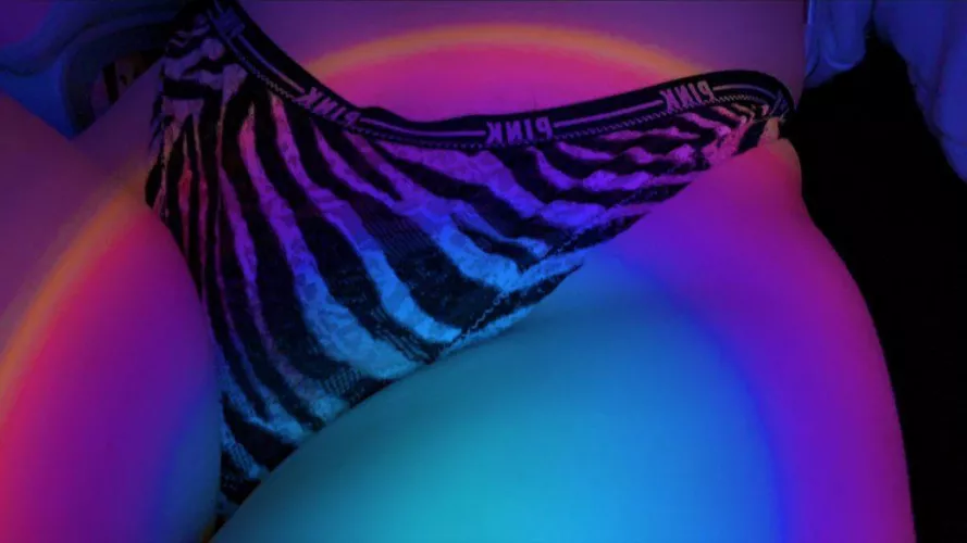 [domme] do you wanna be my pet, toilet, wallt or sissy ? 👸🏻