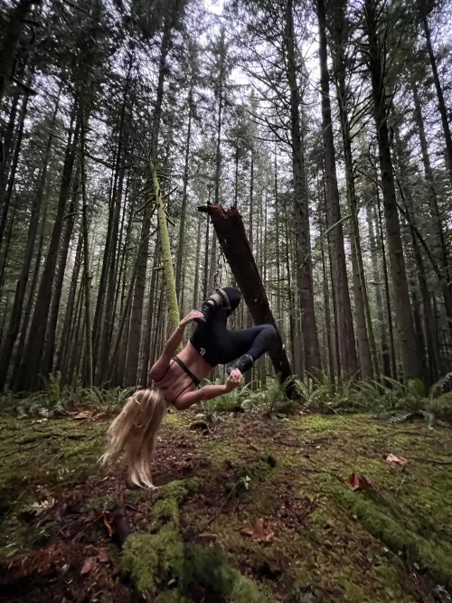 Forest futomomo in misty Pacific Northwest wilderness near Seattle (OC)