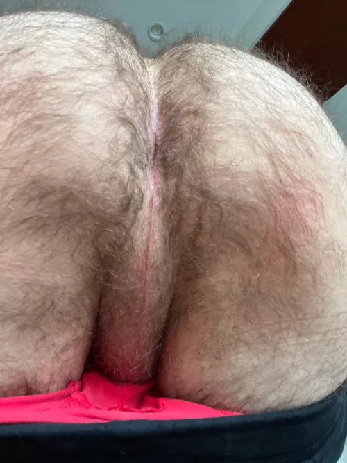 How to spend this Sunday?