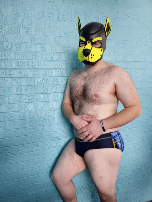 join me for a swim? 🐶