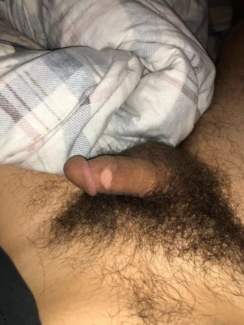 Just a penis in a bush M24