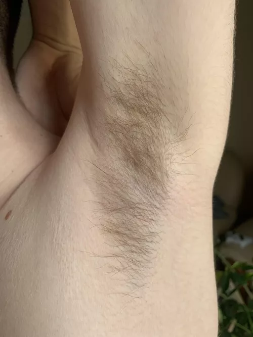 Lick it or sniff it first?