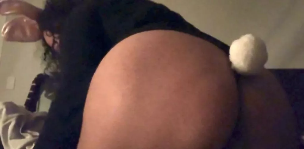 Little Honey Bunny 🍯🐰