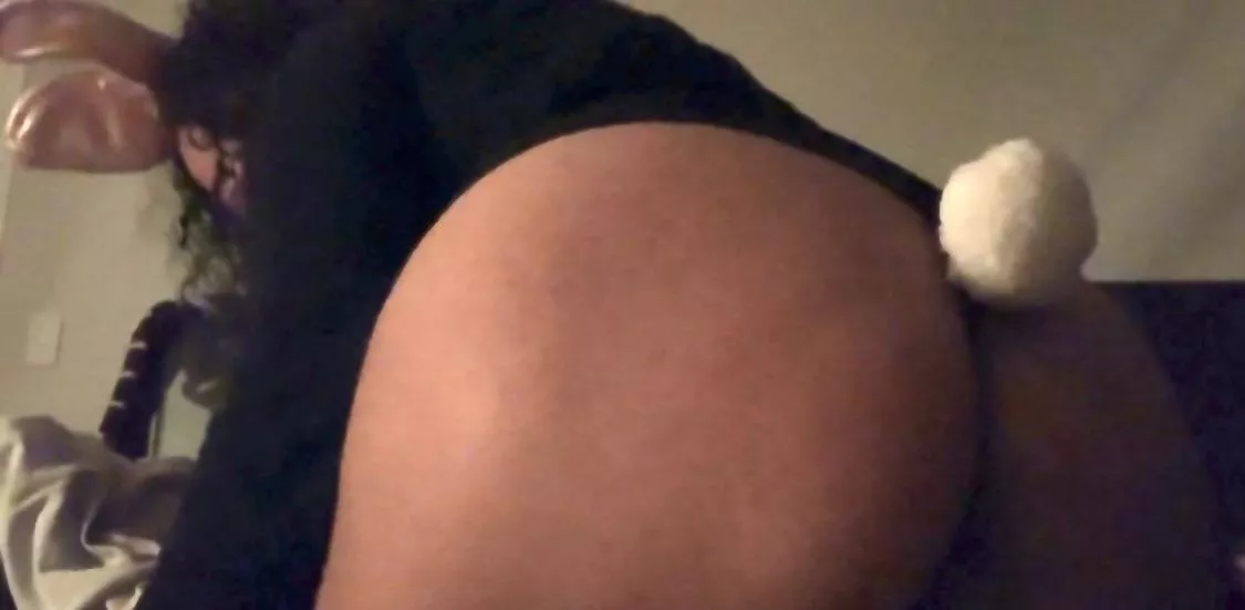 Little Honey Bunny 🍯🐰