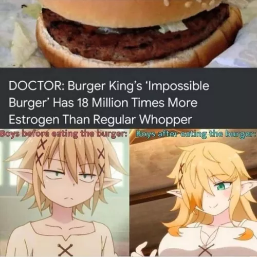 (Male Elf -> Female Elf, MTF, TG) Id like a triple patty supreme please!