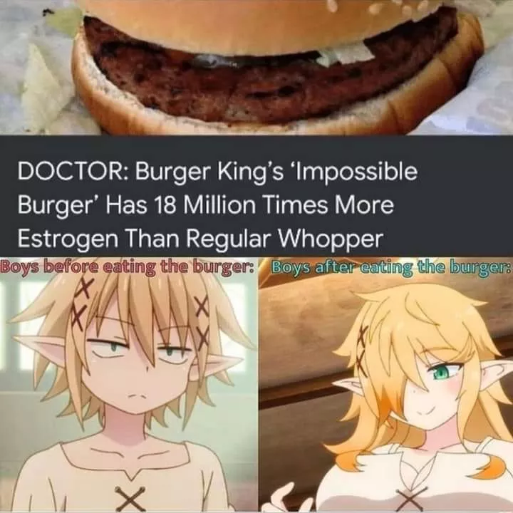 (Male Elf -> Female Elf, MTF, TG) Id like a triple patty supreme please!