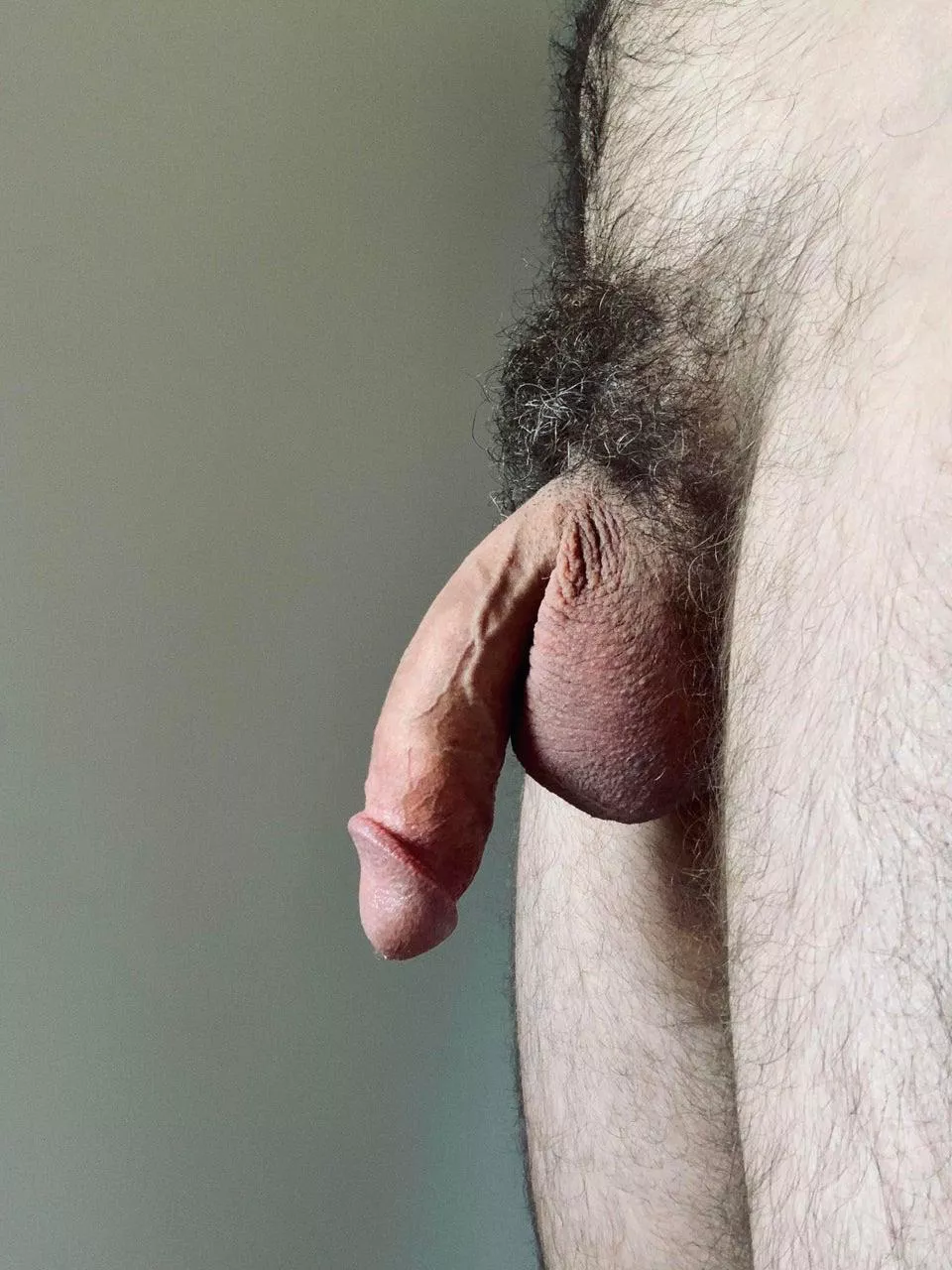 my cut, hairy and naturally ribbed little guy...