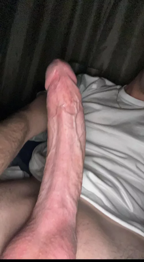 My hard cock ready to explode rate. 24/m