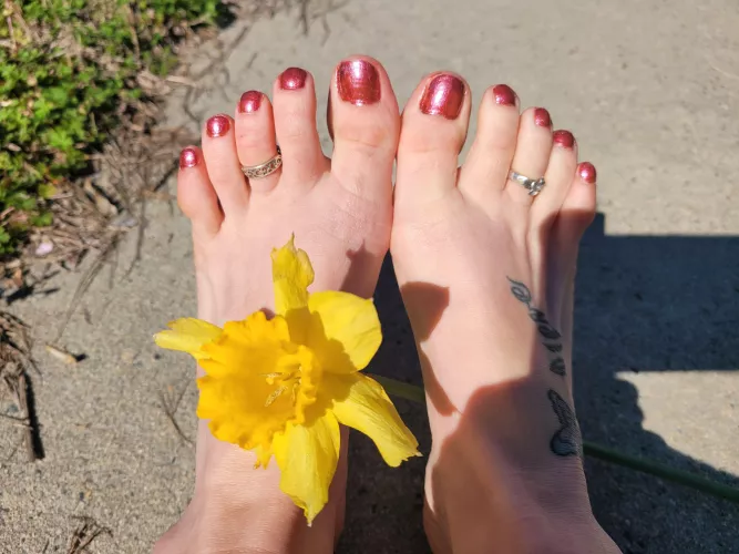 (OC) In search of toe licker....