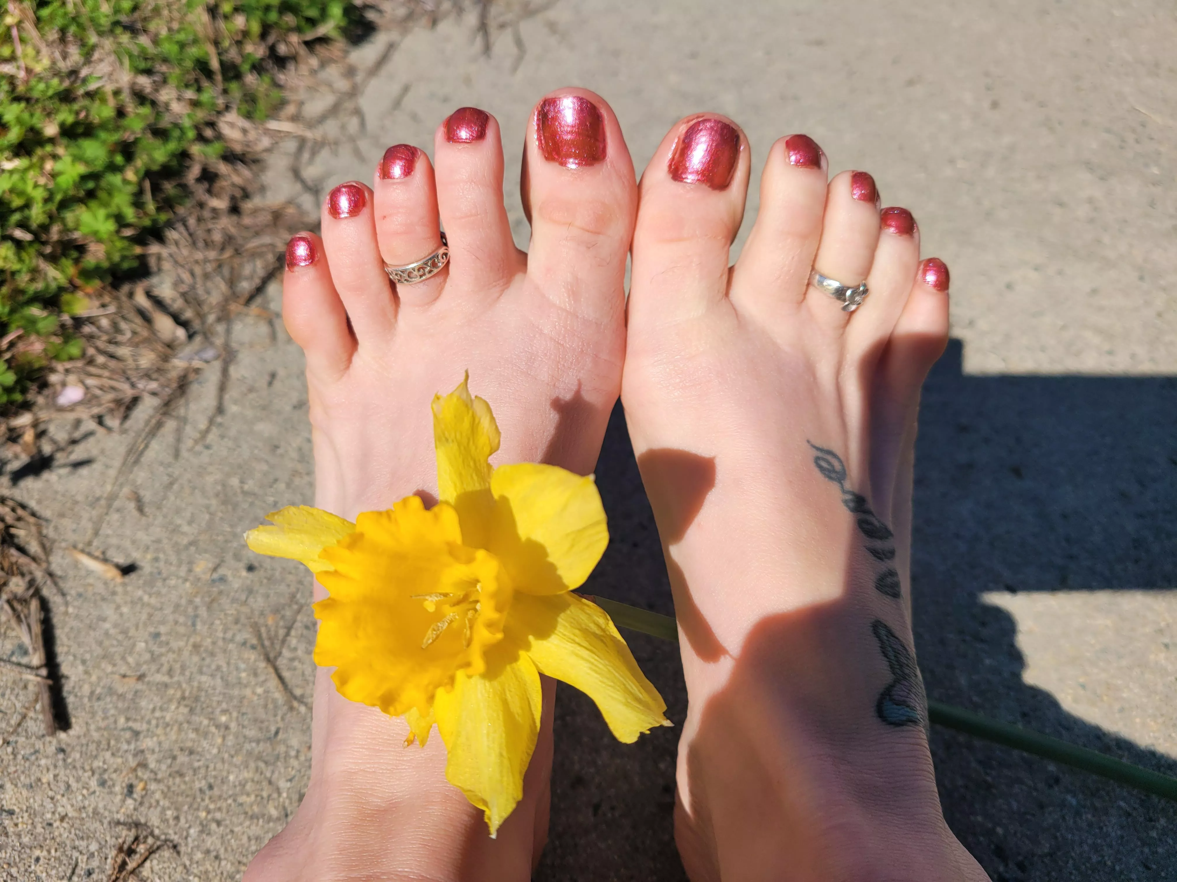 (OC) In search of toe licker....