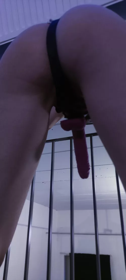 [OC][F] Can you take all of it? I'll make you anyway! 💓👑