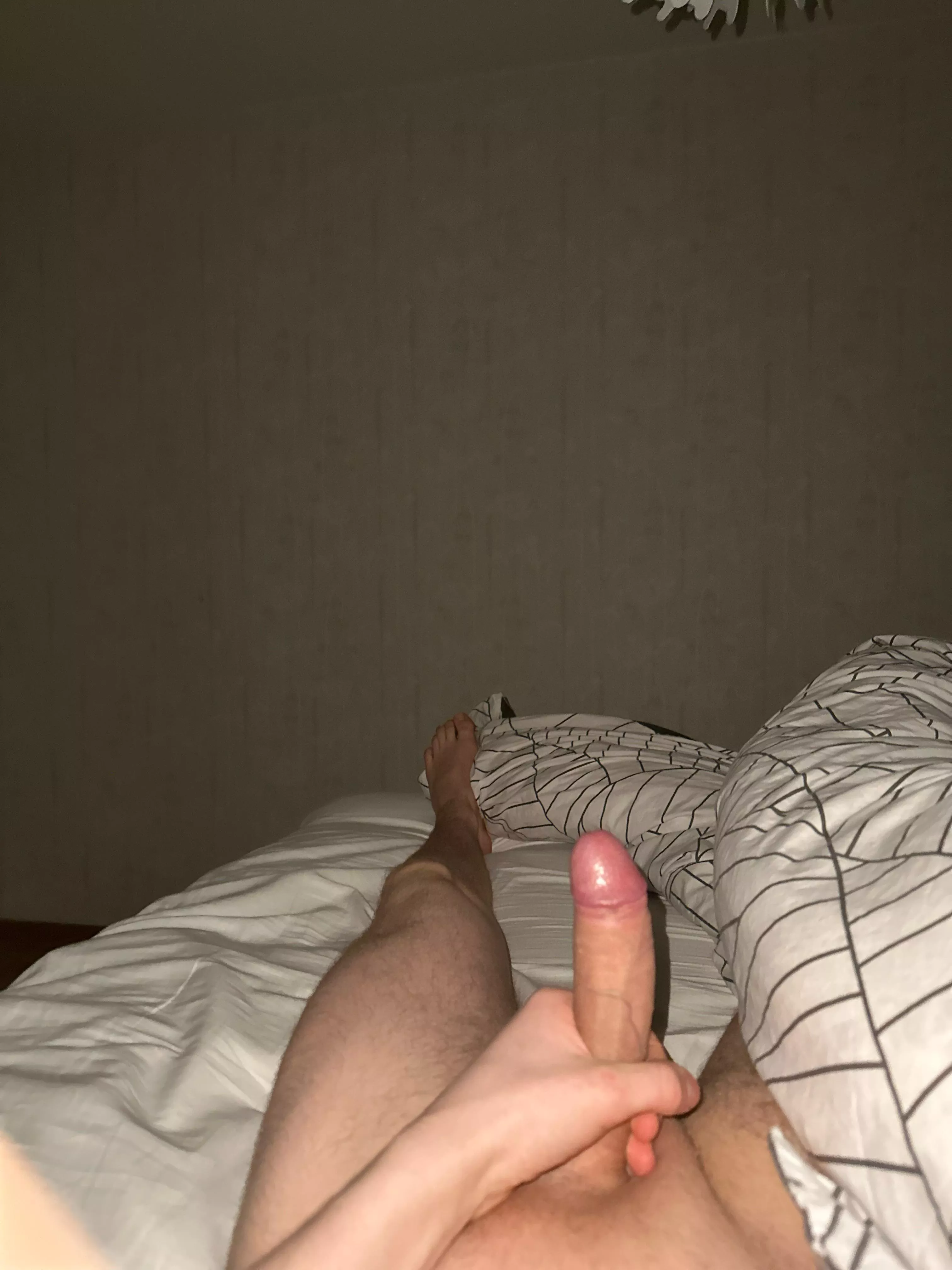 Shaved 19M, someone wants it?