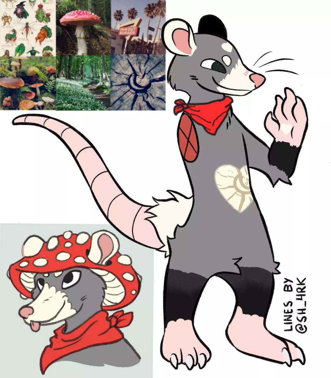 The revised version of Possum, my opossum OC they/them/ he/him pronouns u/KatiBeast made the hat