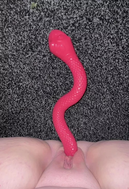 Well you’re a naughty snake