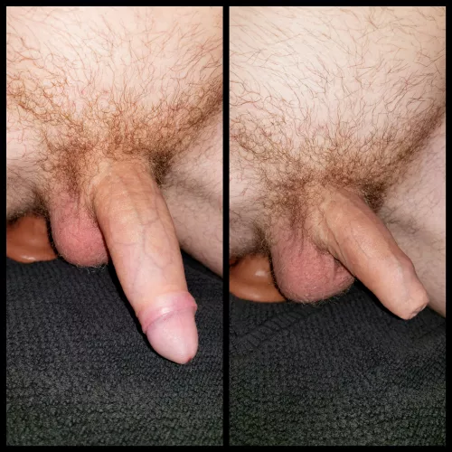 which do you prefer?