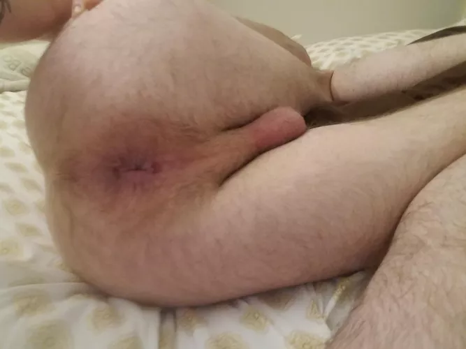 would you eat me before you fuck my hairy hole?