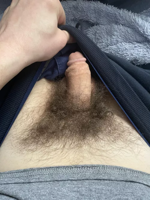 [23] Soft cock resting