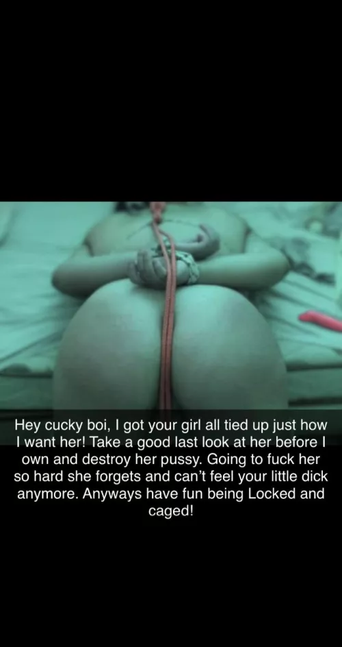 Always need to keep the cucky informed 🤭