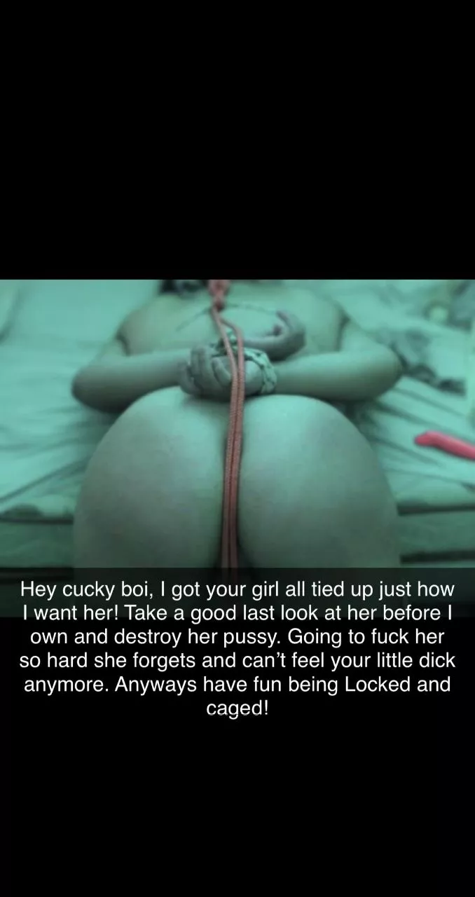 Always need to keep the cucky informed 🤭