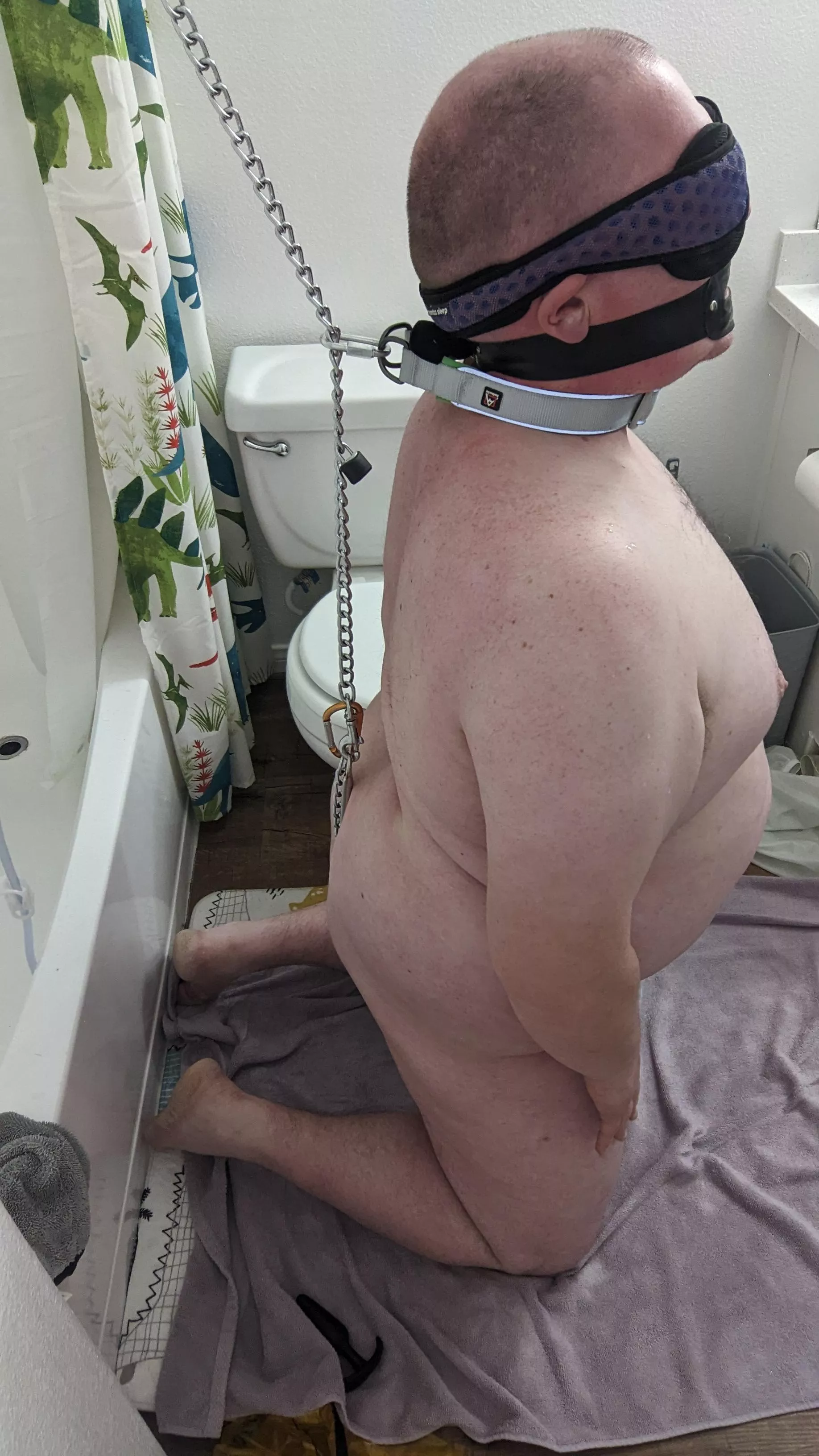 anal hook, collar, CBT, gagged and blindfolded