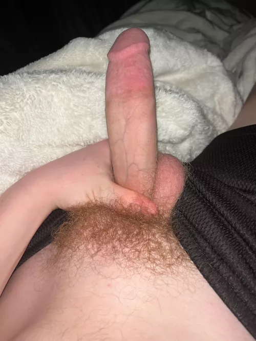 Any guys like my pubes? Hmu