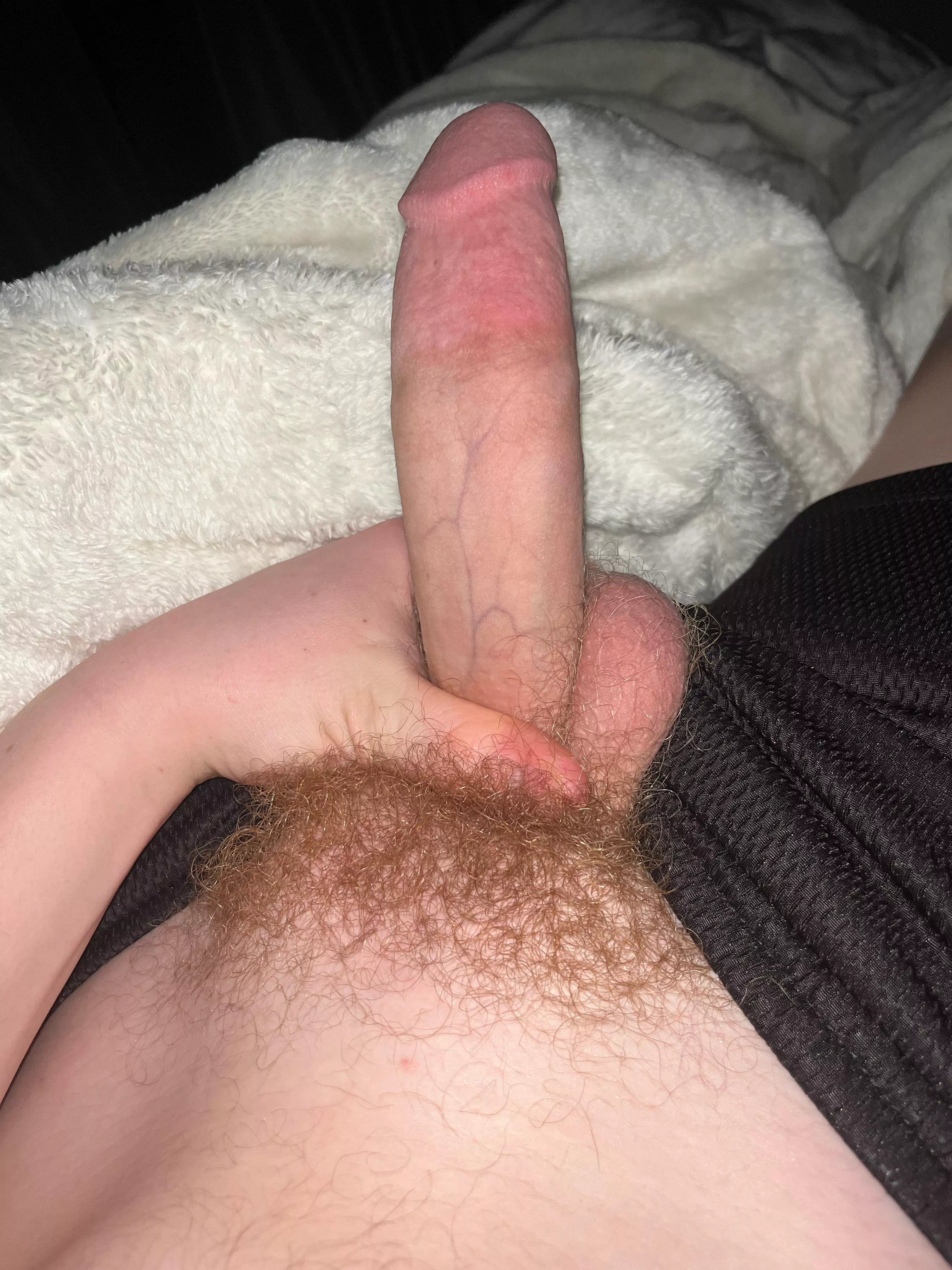Any guys like my pubes? Hmu