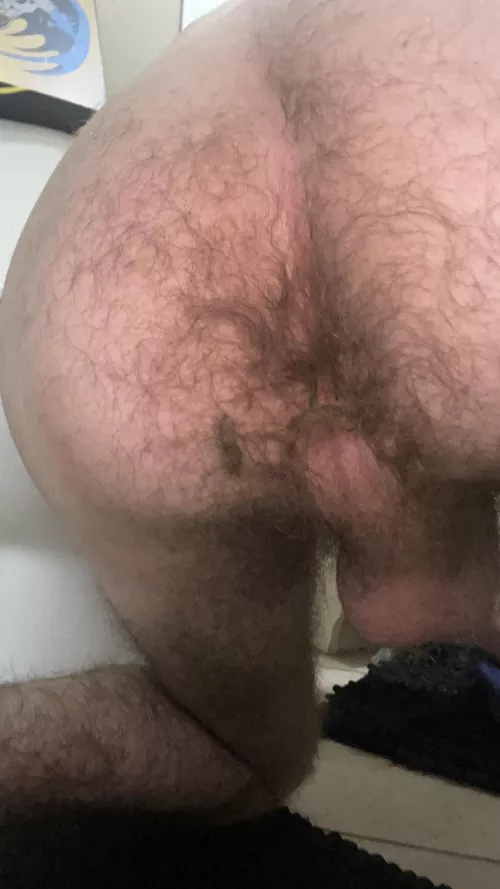 Anyone like a hairy ass?