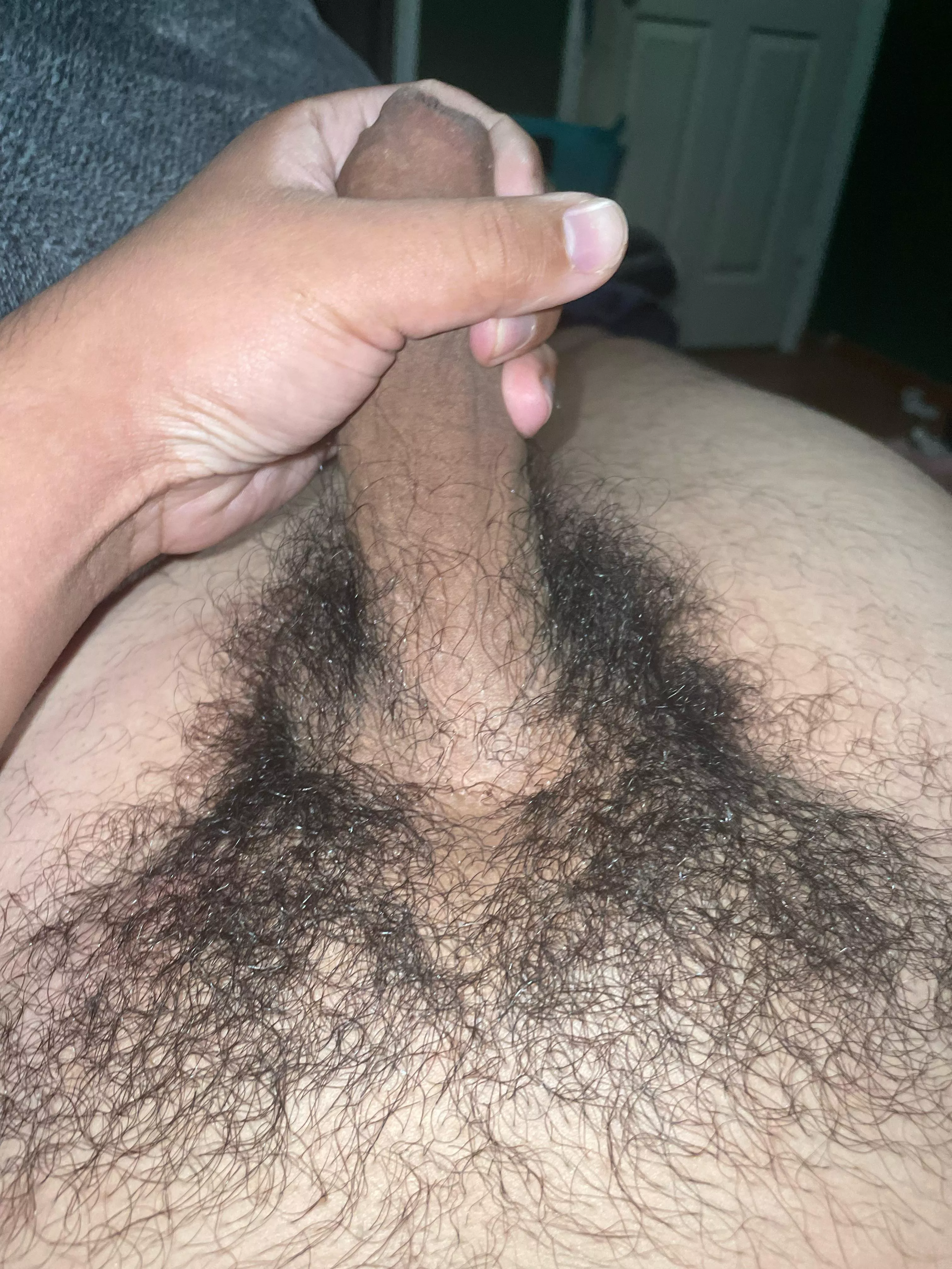 Anyone wanna compare pubes?
