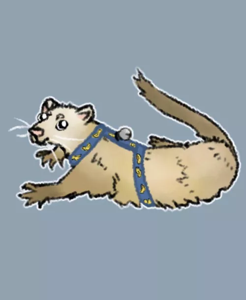 Art by me of my ferret ☺️