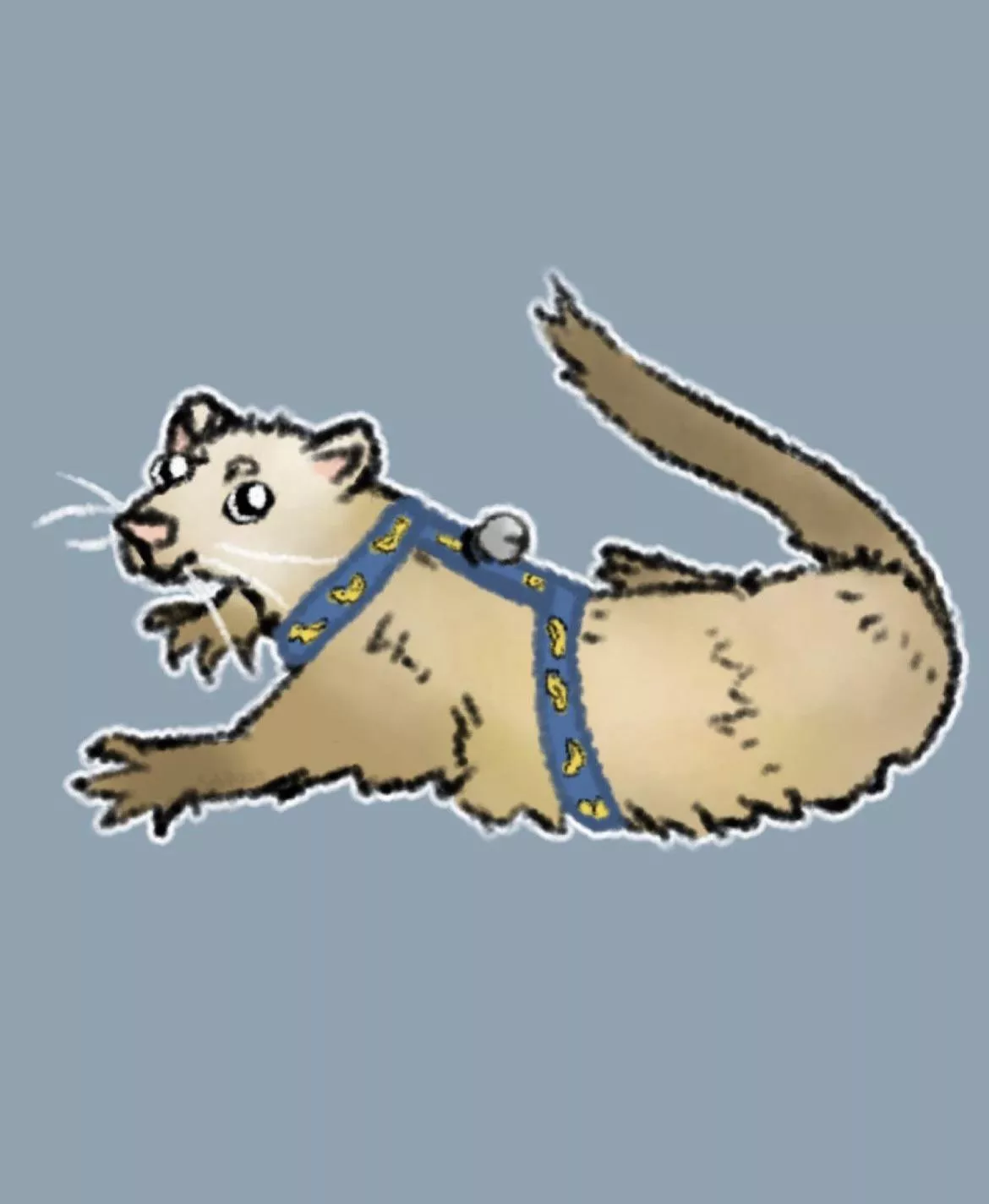 Art by me of my ferret ☺️