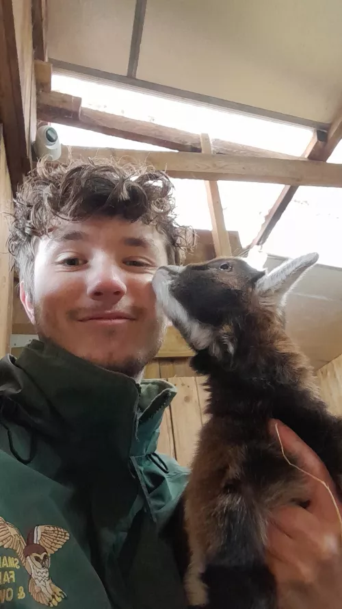 Baby goat cuddles are some of the best!