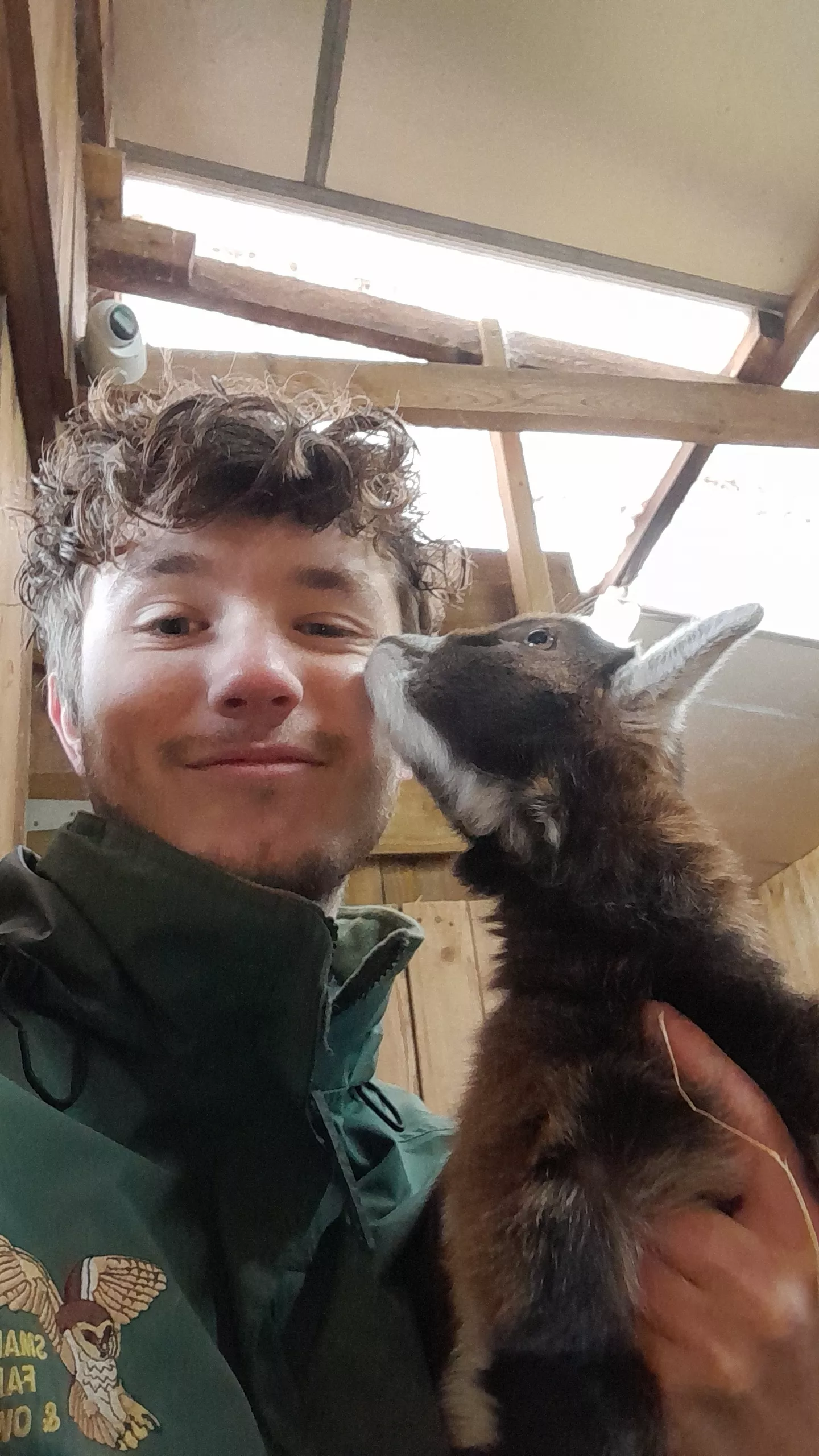 Baby goat cuddles are some of the best!
