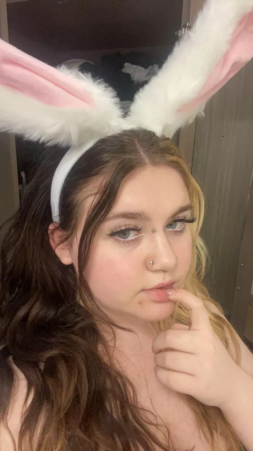 bunny or cat girls?