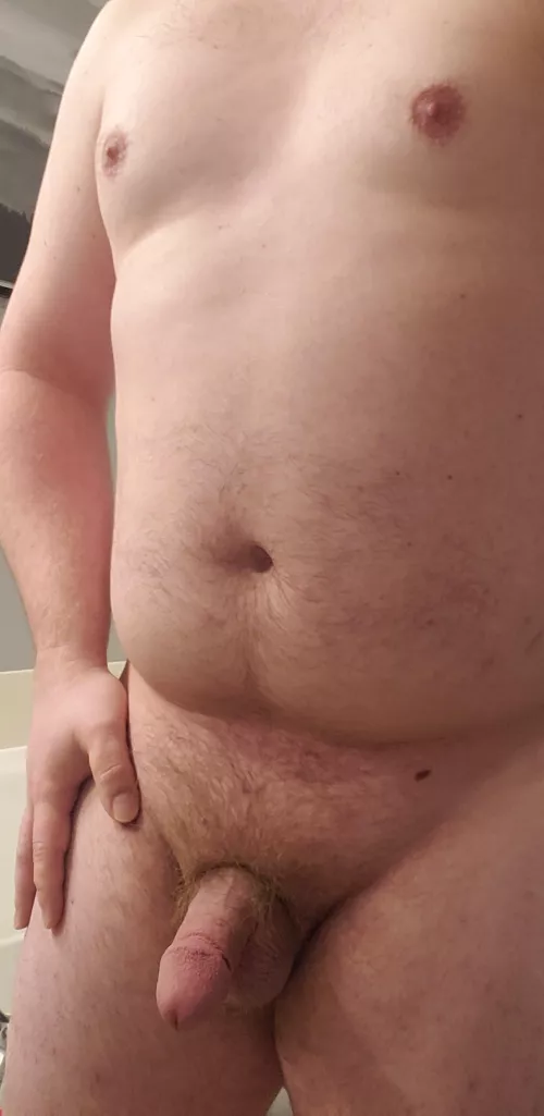 Circumcised penis closeup