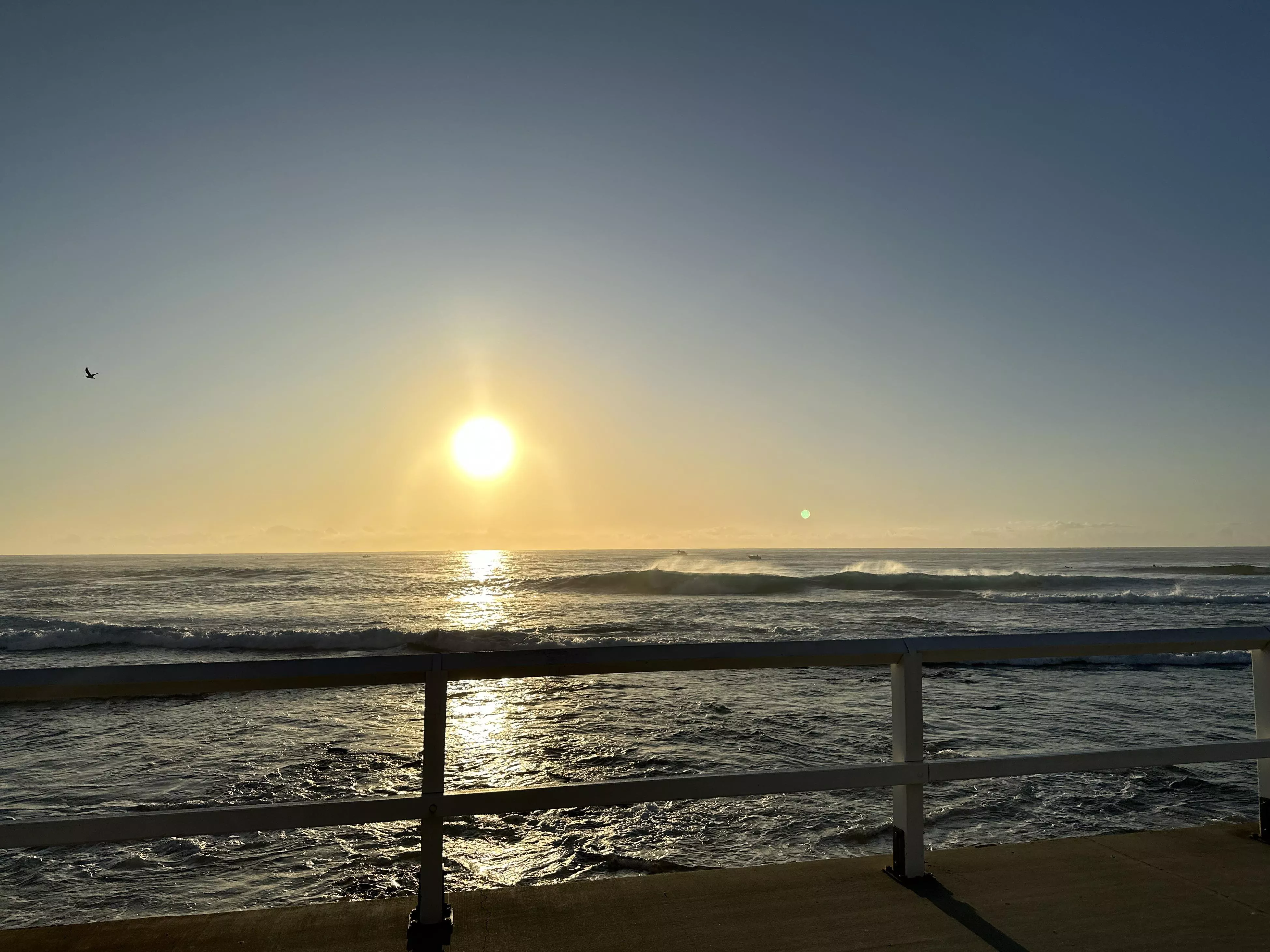 Cowrie hole Newcastle, Australia