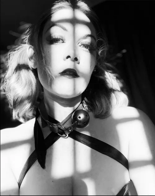 Embracing the shadows