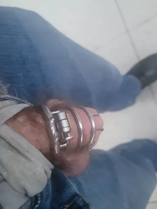 Felt a little naughty. Took out my caged dick in public for some nice cool air. What would you do if you saw me take it out?