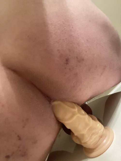 Goddess’s pet fucking itself for You, Goddess.