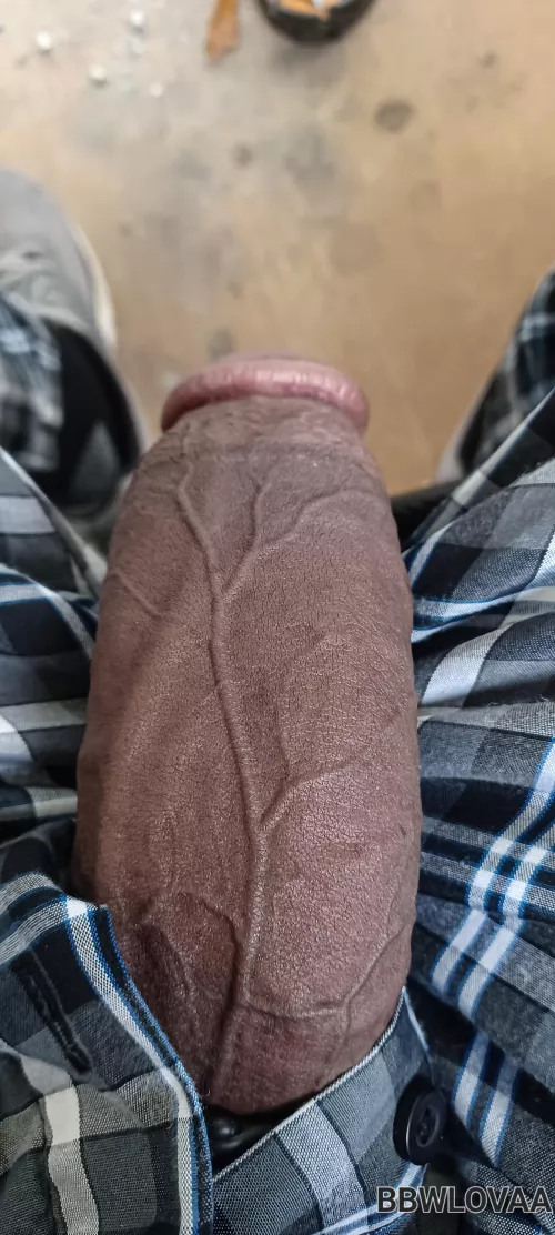 Good morning 🐃🍆 ready to play
