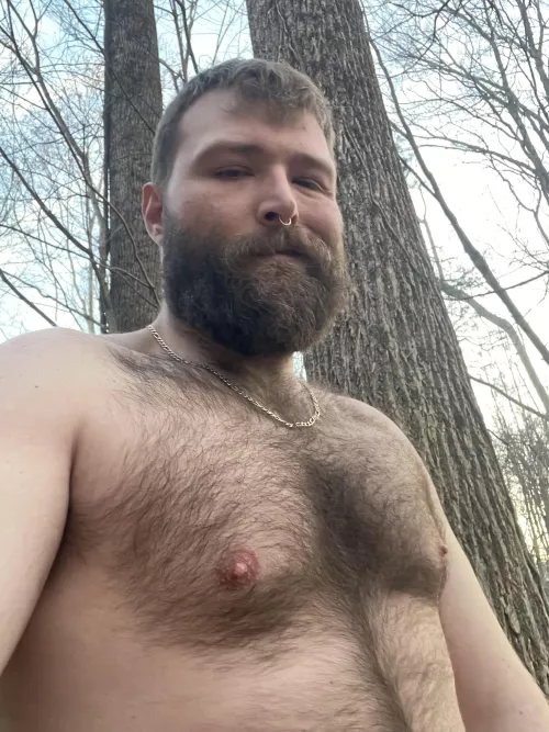 Hairy bear in the woods