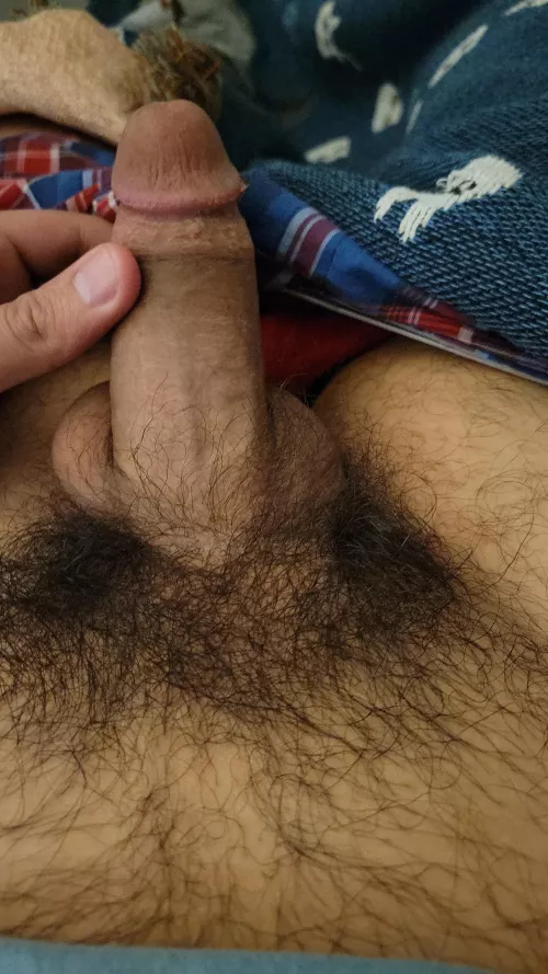 Hairy semi in celebration of 100 followers.